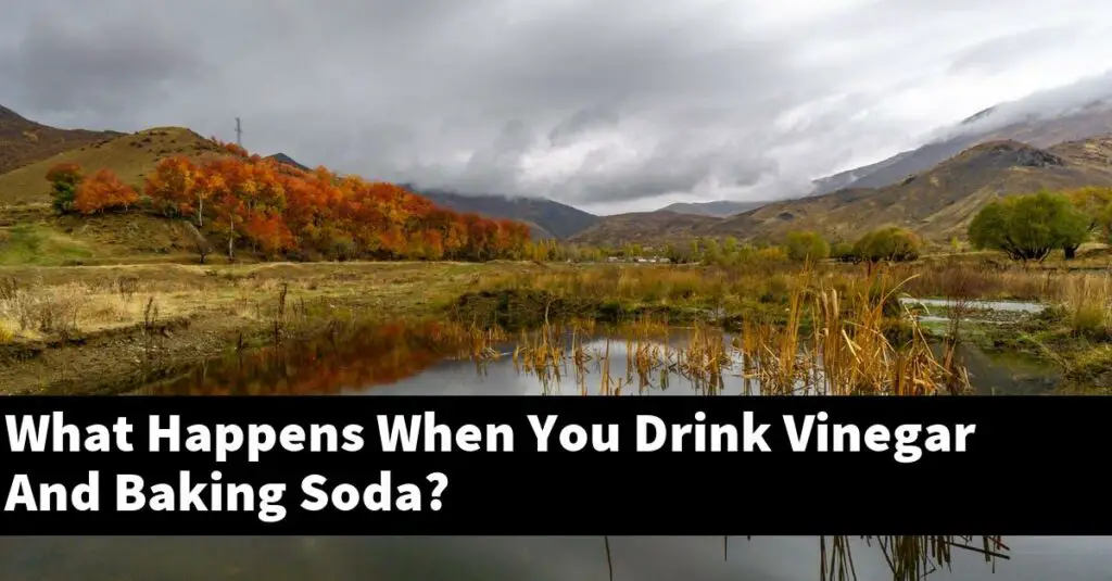 What Happens When You Drink Vinegar And Baking Soda? [2024 Guide