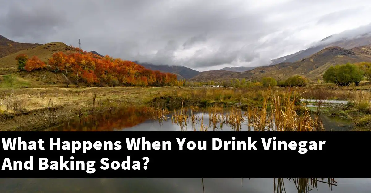 What Happens When You Drink Vinegar And Baking Soda?