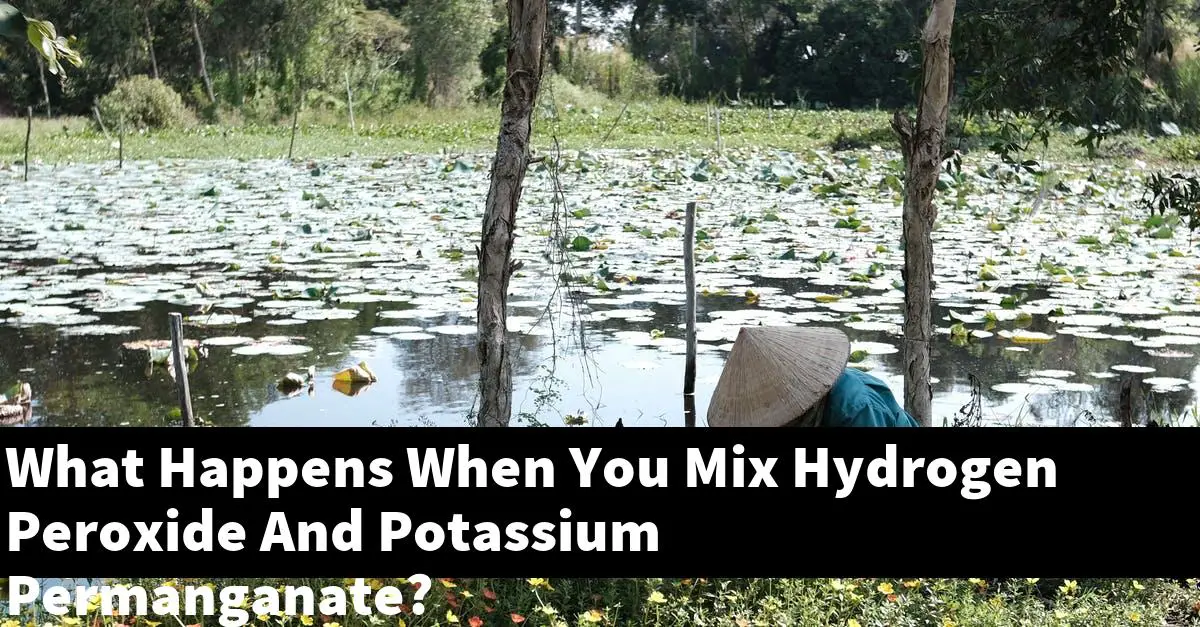 What Happens When You Mix Hydrogen Peroxide And Potassium Permanganate?