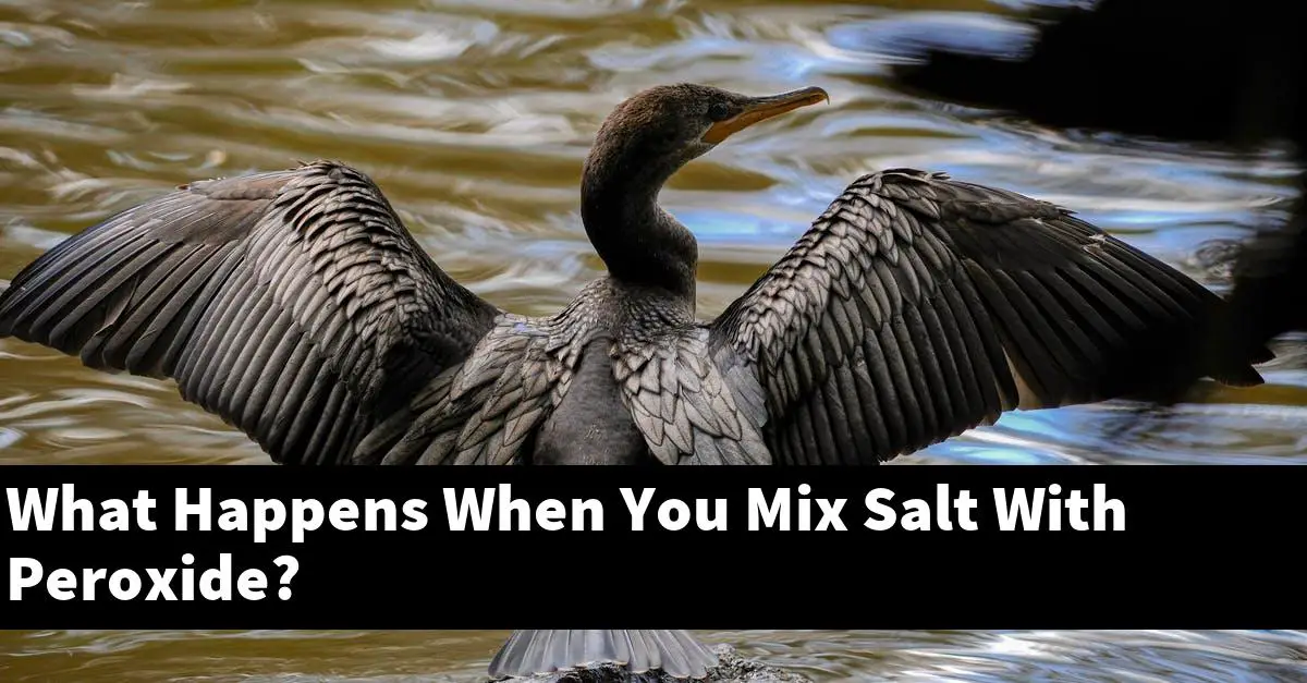 What Happens When You Mix Salt With Peroxide?