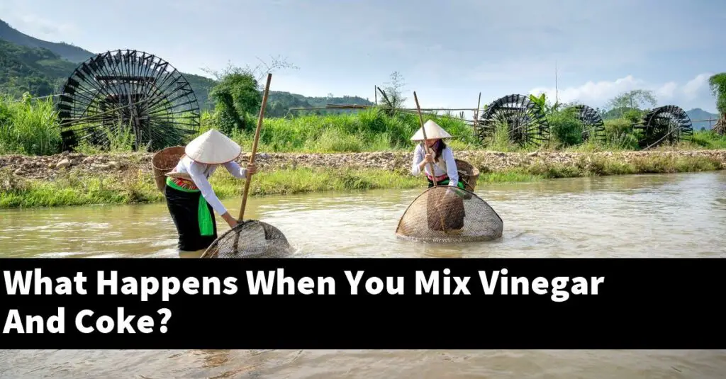 What Happens When You Mix Vinegar And Coke? [2024 Guide] Gold Koi Fish