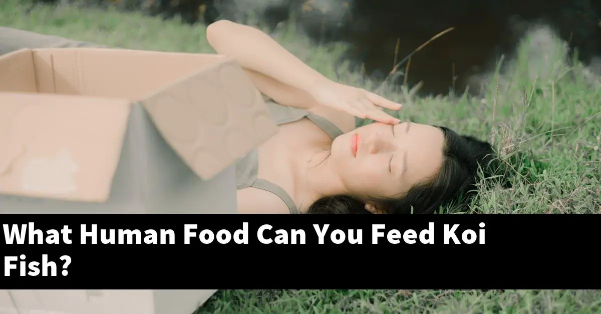 What Human Food Can You Feed Koi Fish?