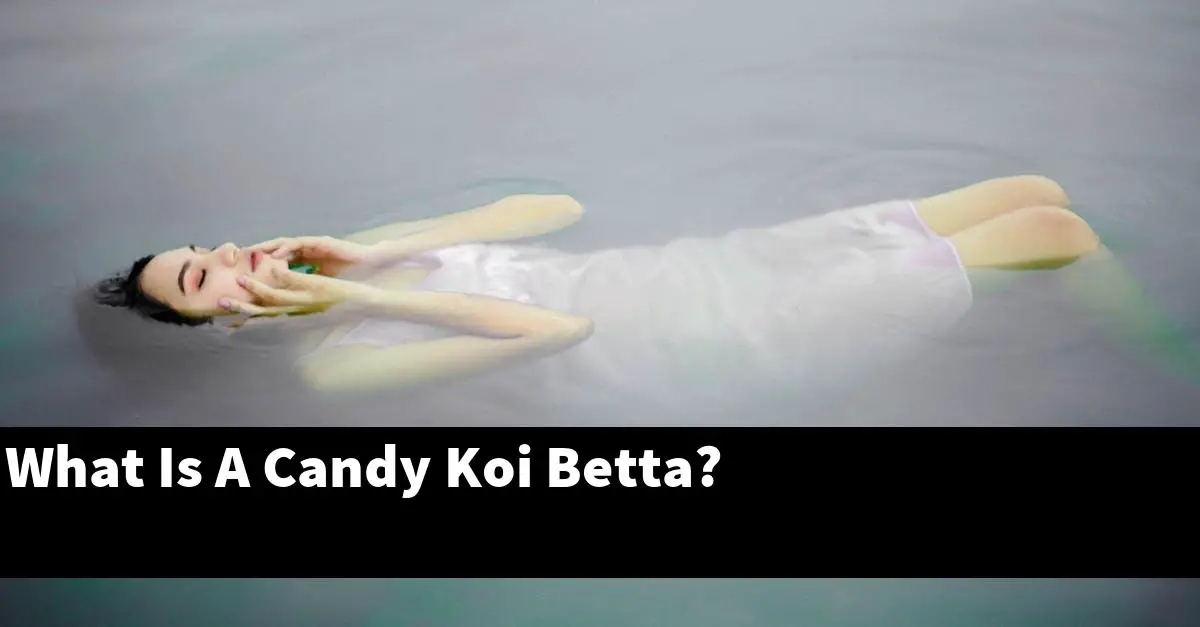 What Is A Candy Koi Betta?