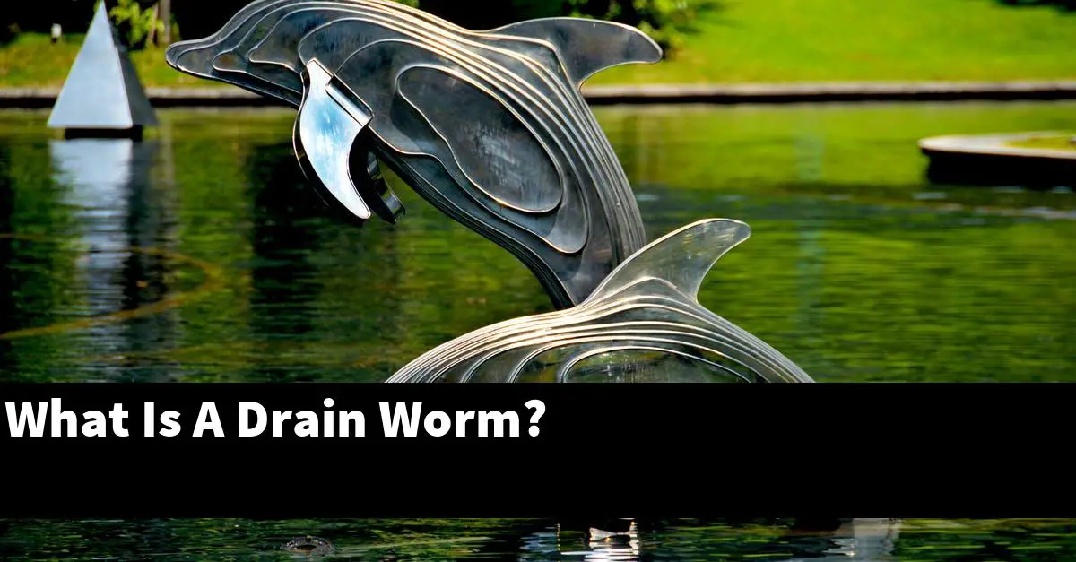 What Is A Drain Worm?