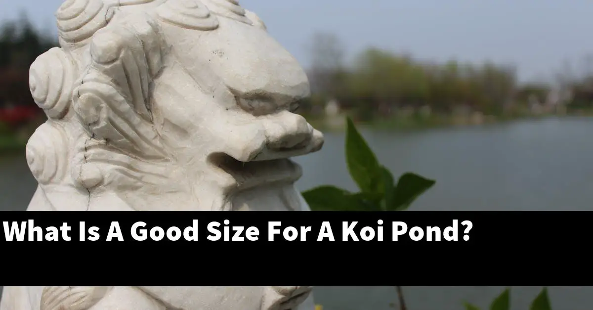 What Is A Good Size For A Koi Pond?