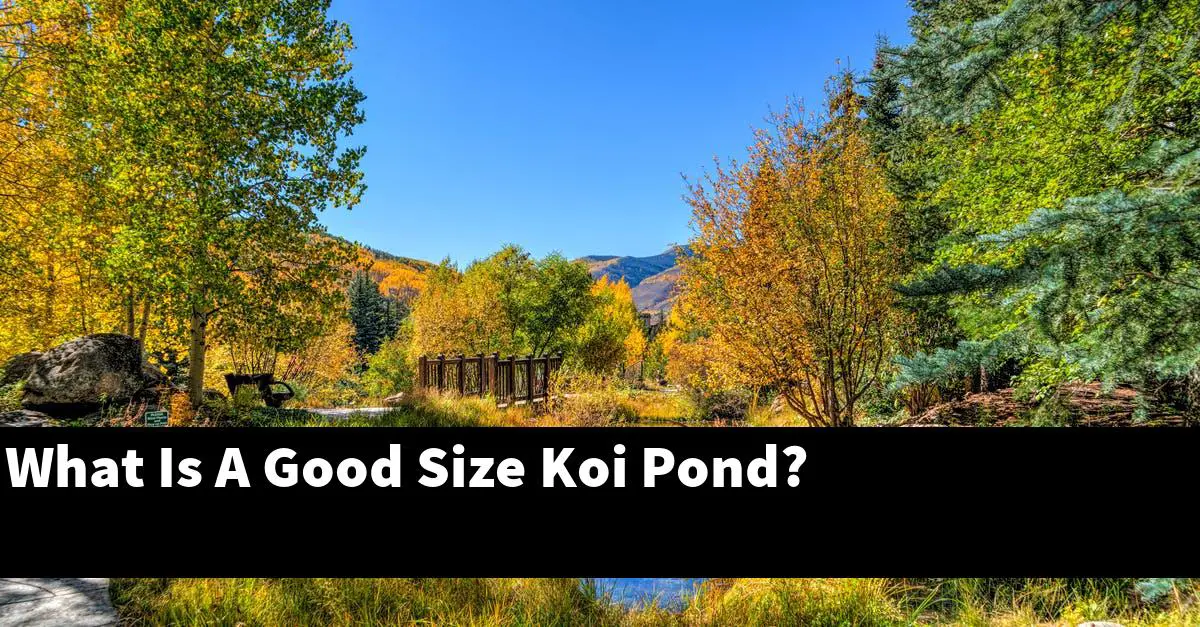 What Is A Good Size Koi Pond?