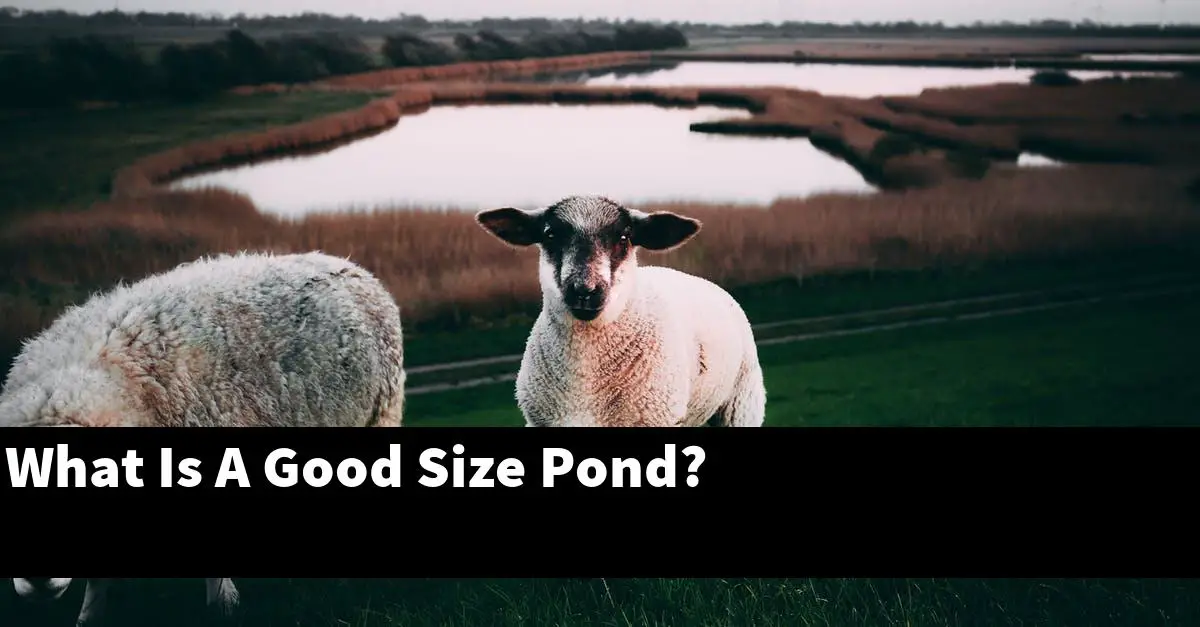 What Is A Good Size Pond?