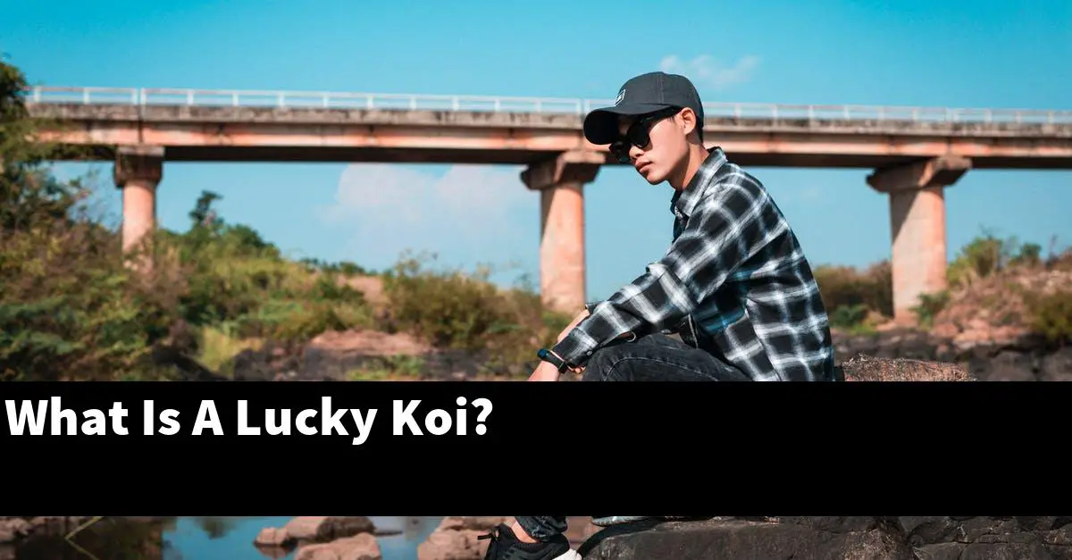 What Is A Lucky Koi?