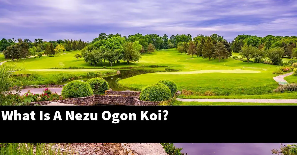 What Is A Nezu Ogon Koi?