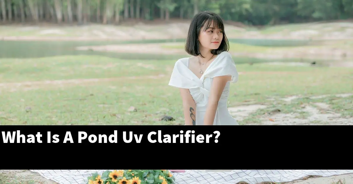 What Is A Pond Uv Clarifier?