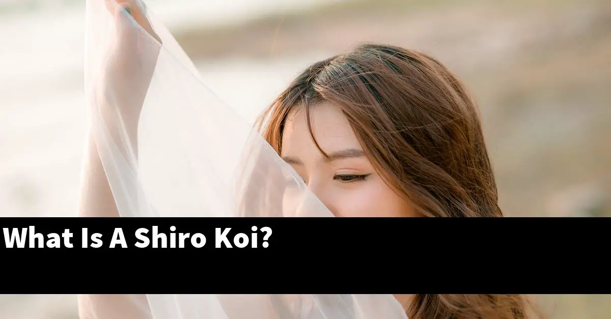 What Is A Shiro Koi?