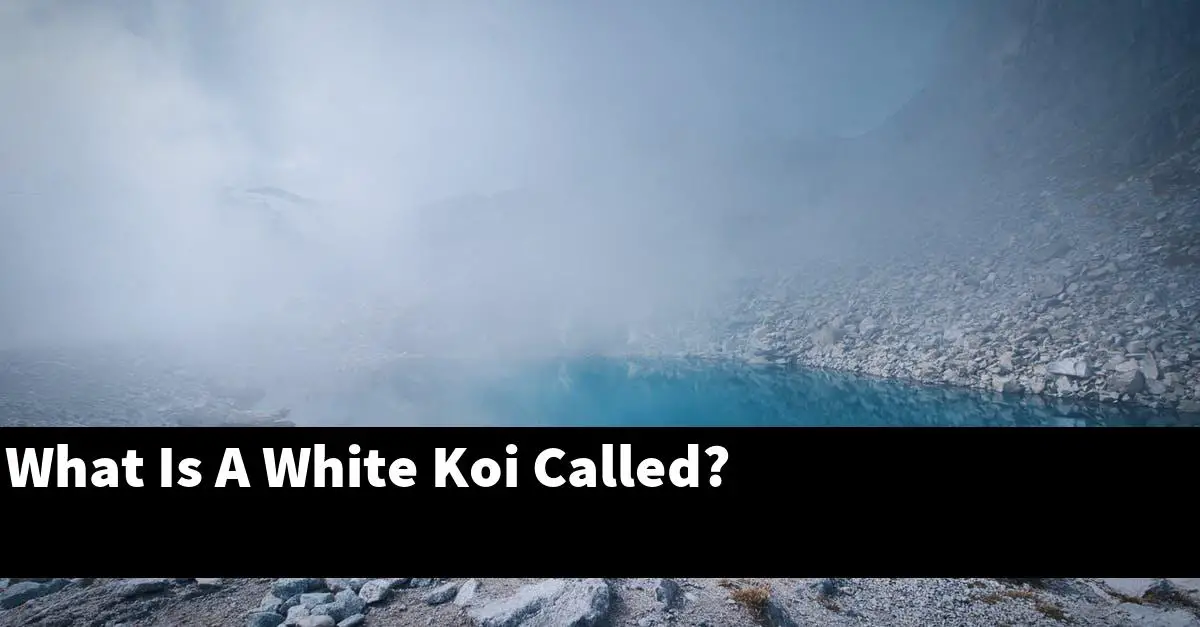 What Is A White Koi Called?