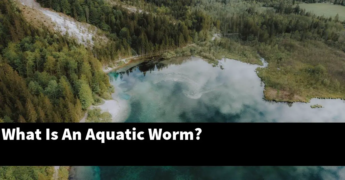What Is An Aquatic Worm?