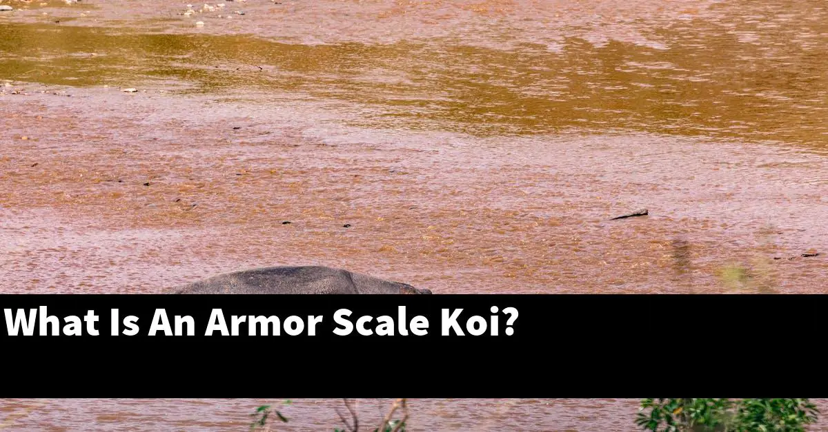 What Is An Armor Scale Koi?