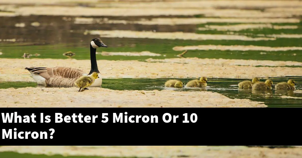 What Is Better 5 Micron Or 10 Micron?