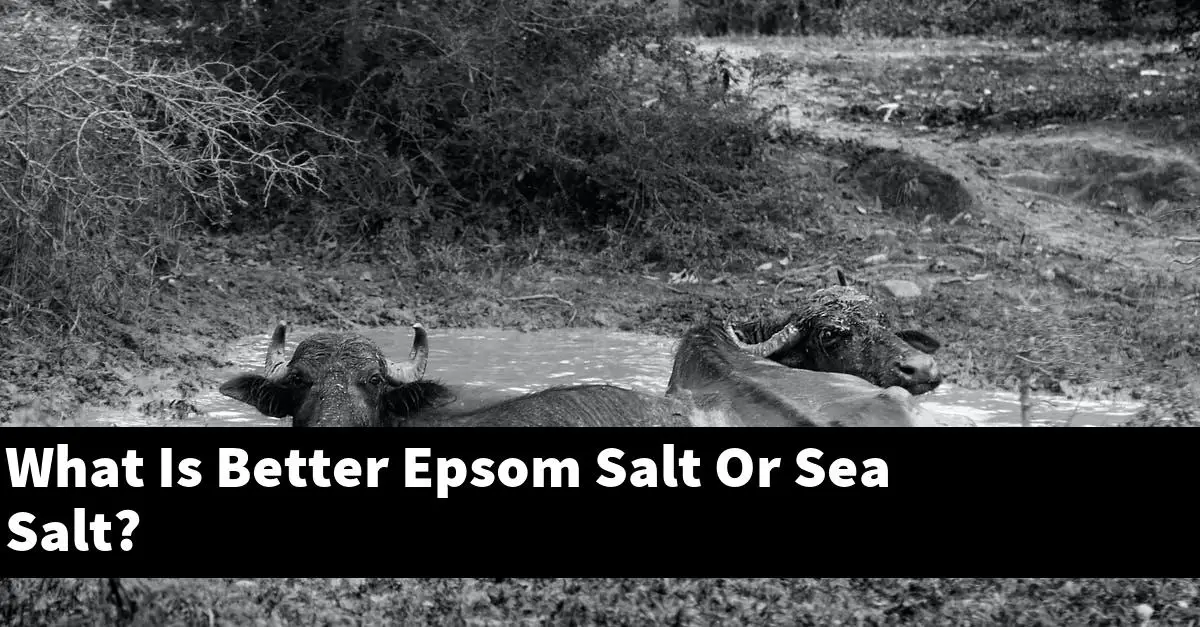 What Is Better Epsom Salt Or Sea Salt?