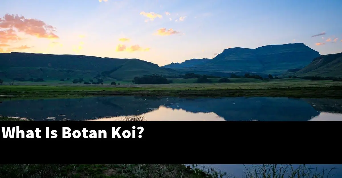 What Is Botan Koi?