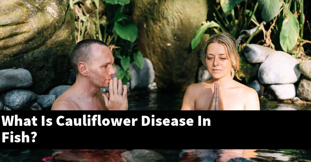 What Is Cauliflower Disease In Fish?