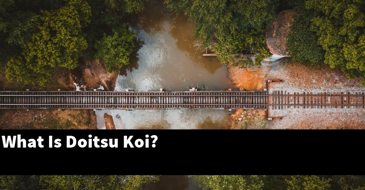 What Is Doitsu Koi?