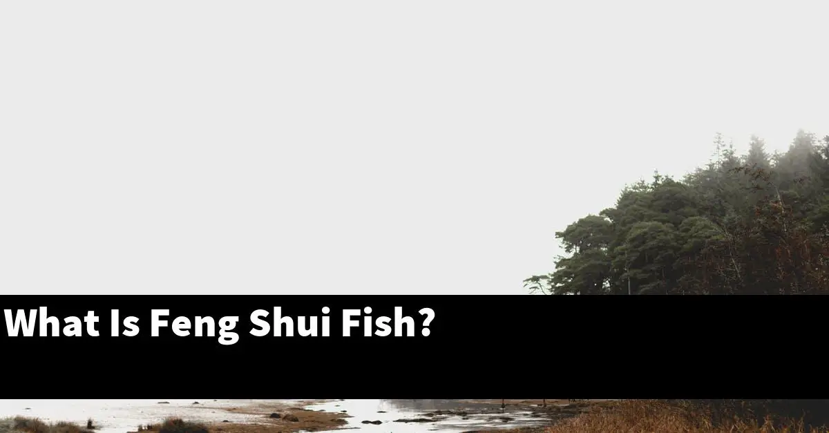 What Is Feng Shui Fish?