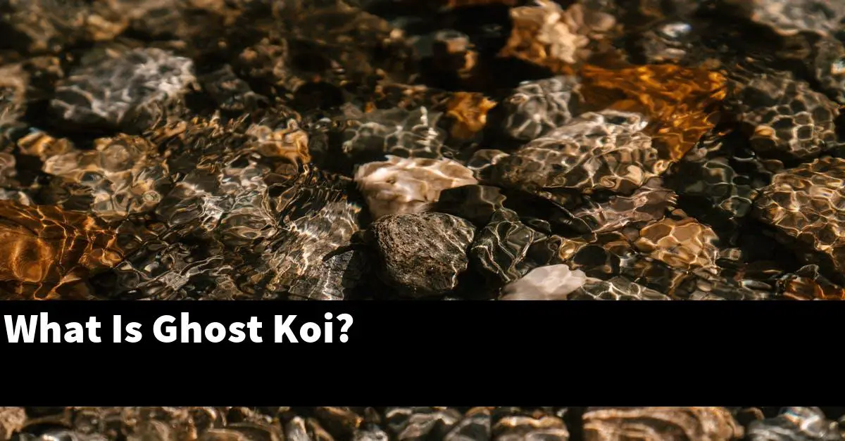 What Is Ghost Koi?