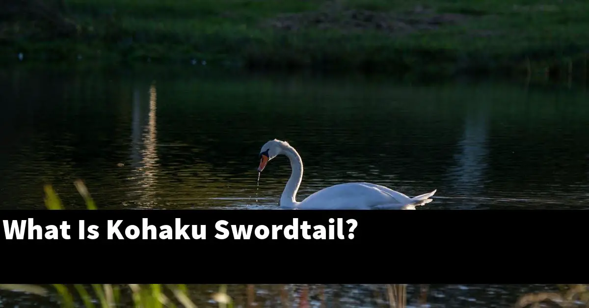 What Is Kohaku Swordtail?