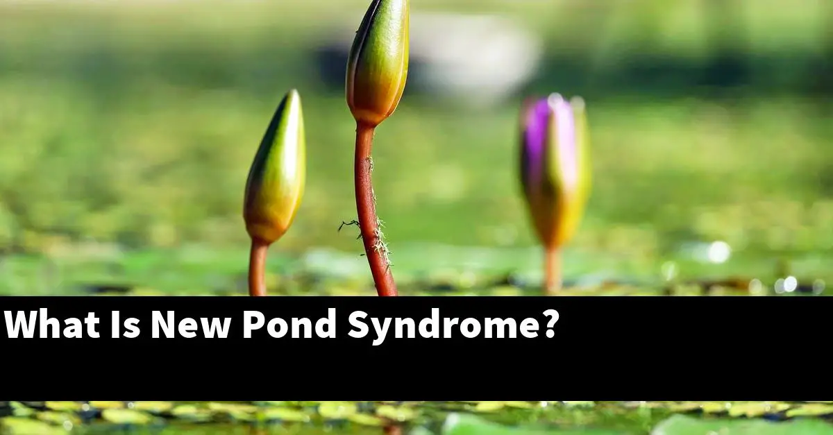 What Is New Pond Syndrome?