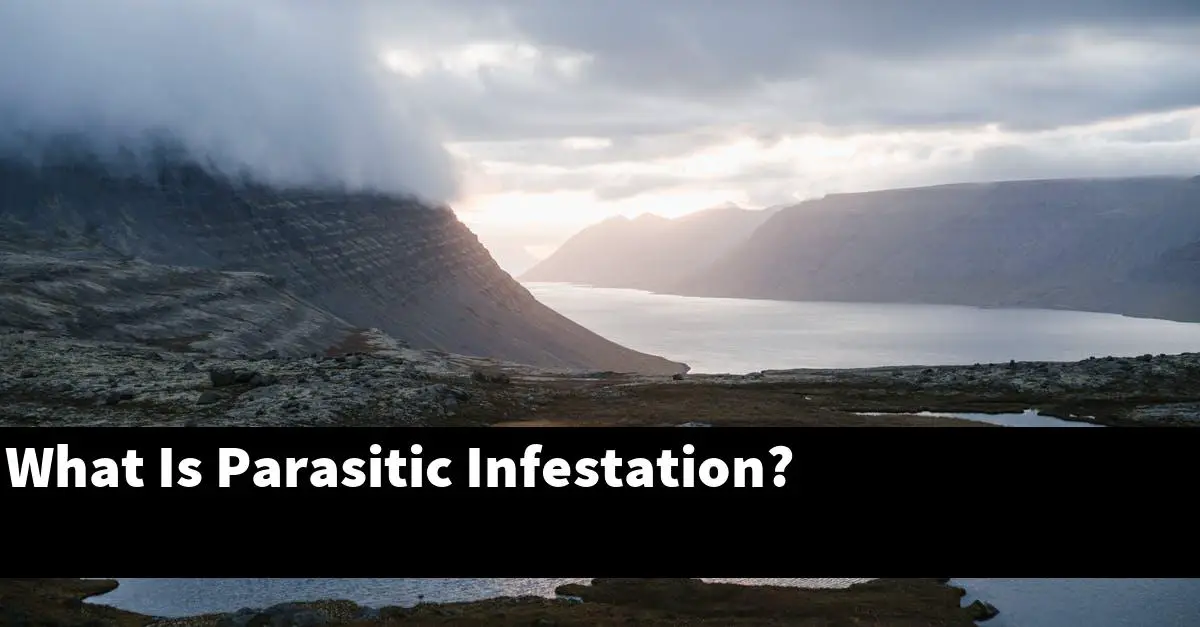 What Is Parasitic Infestation?
