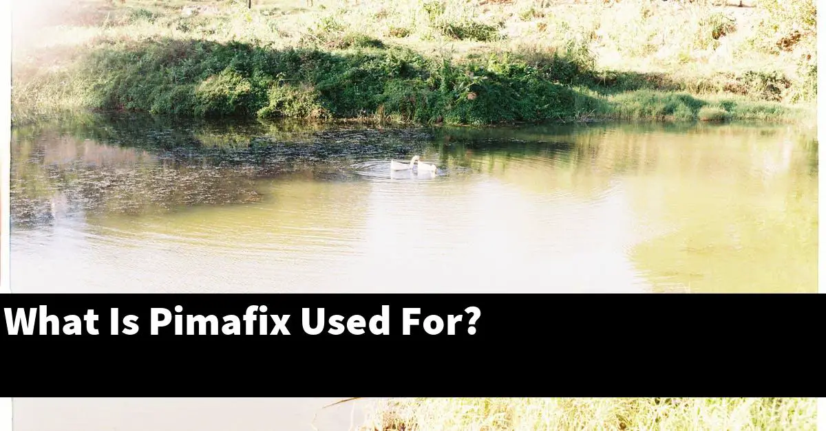 What Is Pimafix Used For?