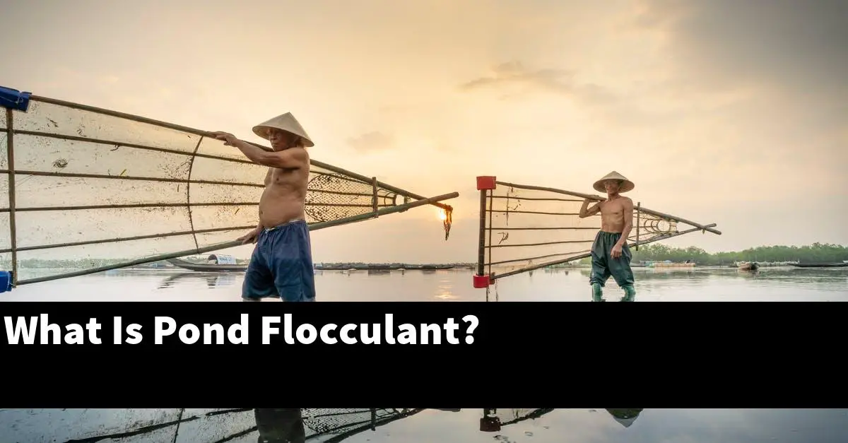 What Is Pond Flocculant?
