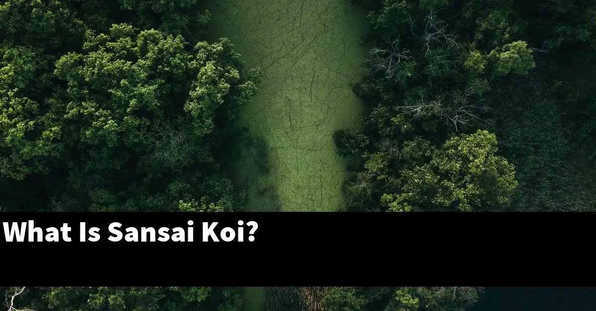 What Is Sansai Koi?