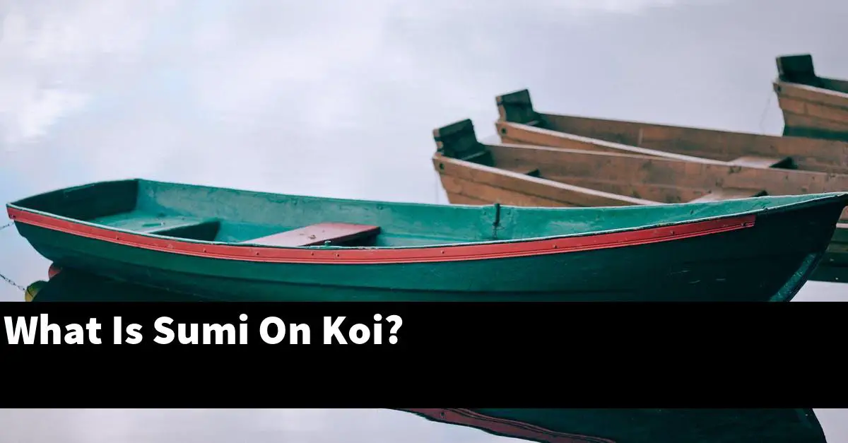 What Is Sumi On Koi?