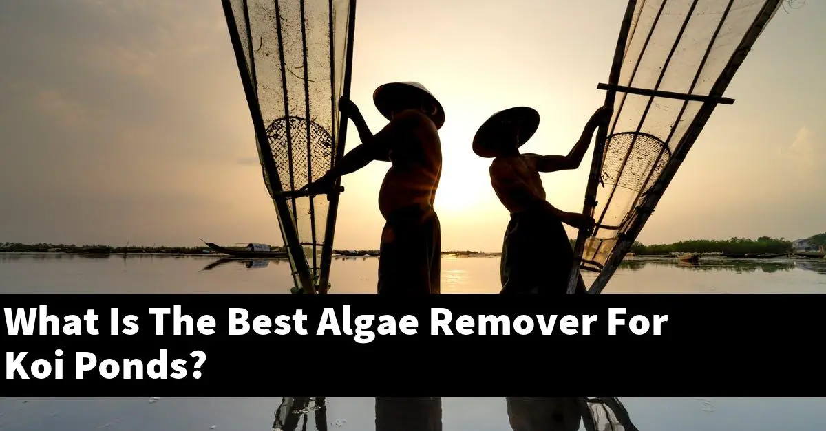 What Is The Best Algae Remover For Koi Ponds?