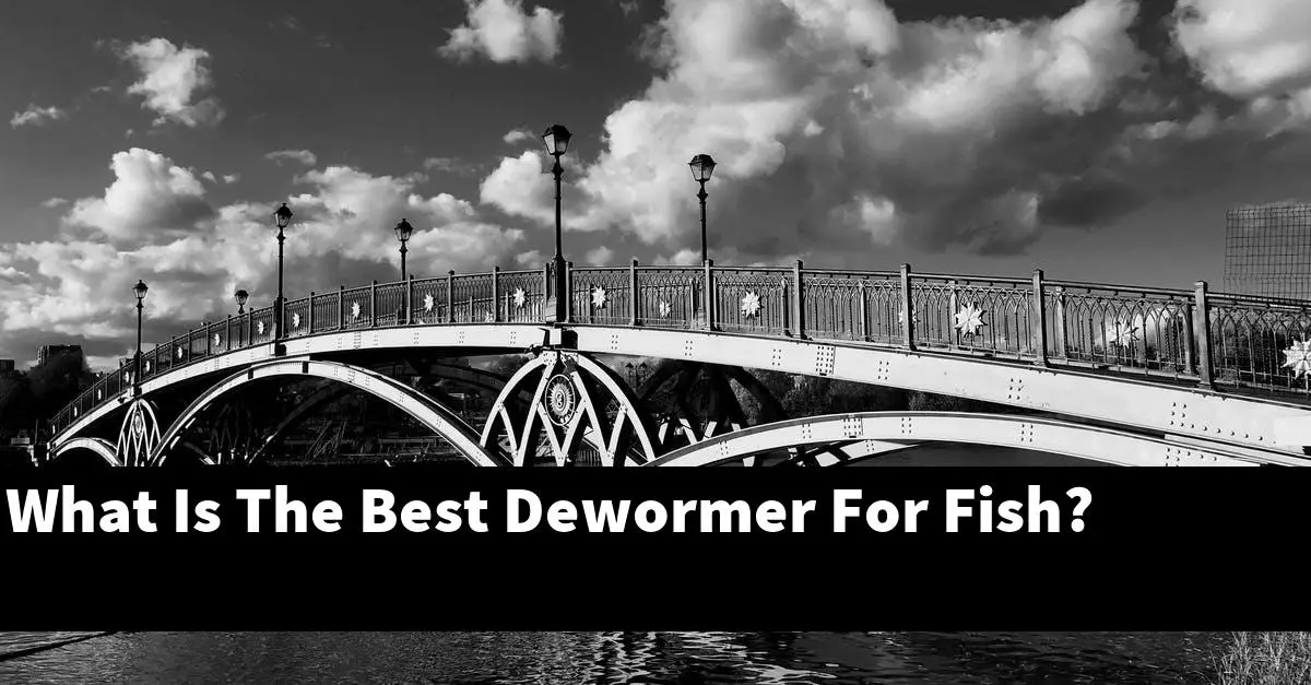 What Is The Best Dewormer For Fish?