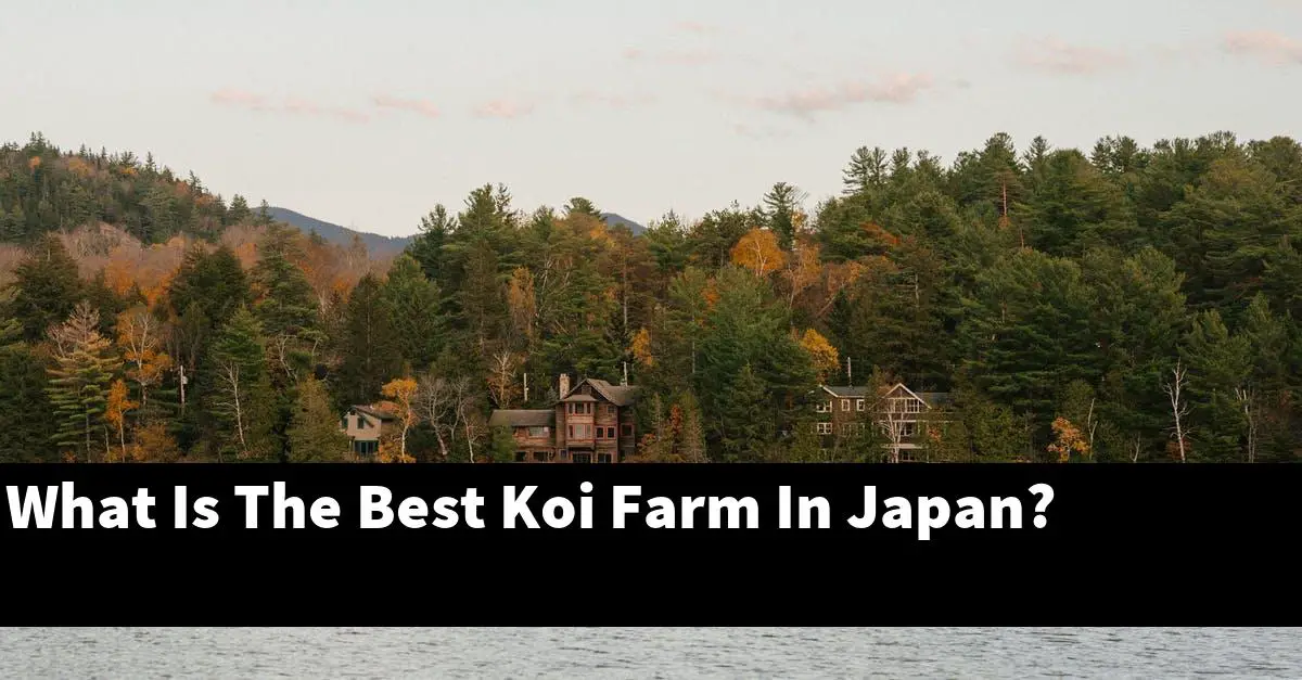 What Is The Best Koi Farm In Japan?
