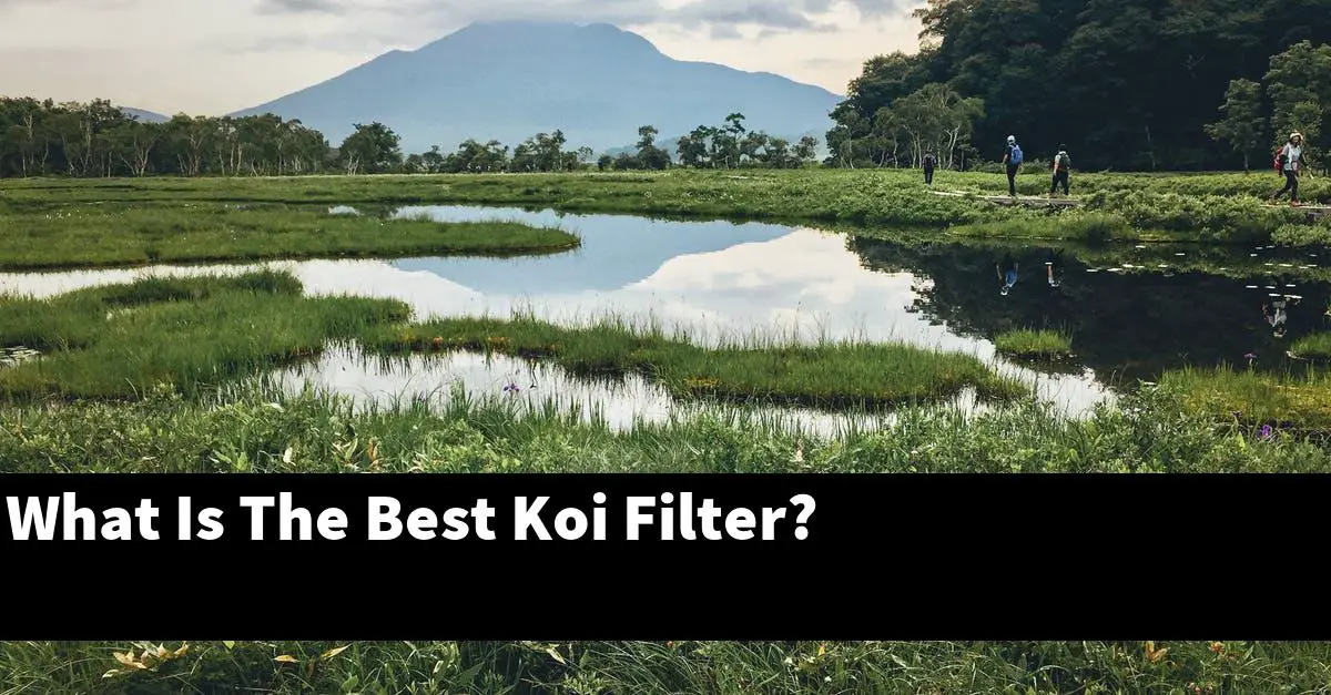 What Is The Best Koi Filter?