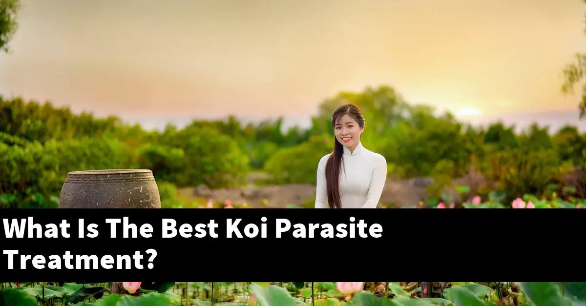 What Is The Best Koi Parasite Treatment?