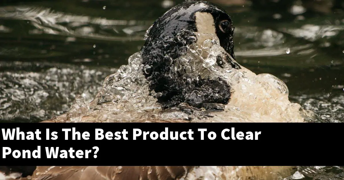 What Is The Best Product To Clear Pond Water?