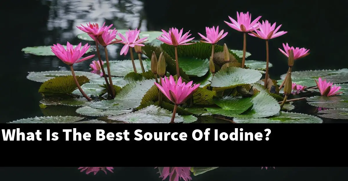 What Is The Best Source Of Iodine?
