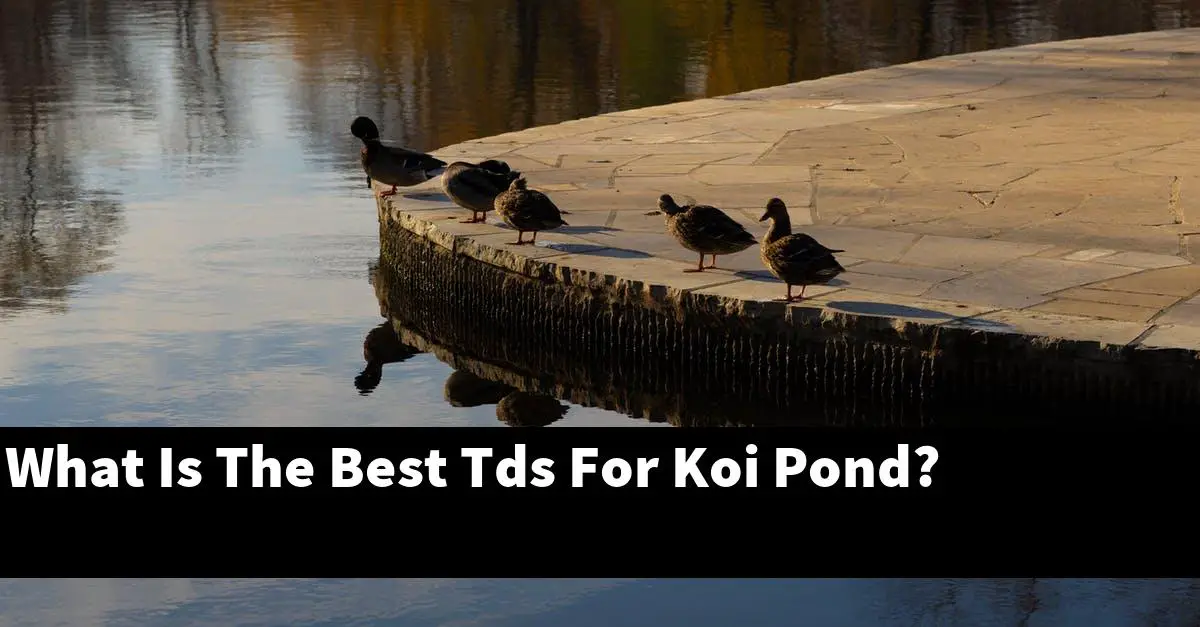 What Is The Best Tds For Koi Pond?
