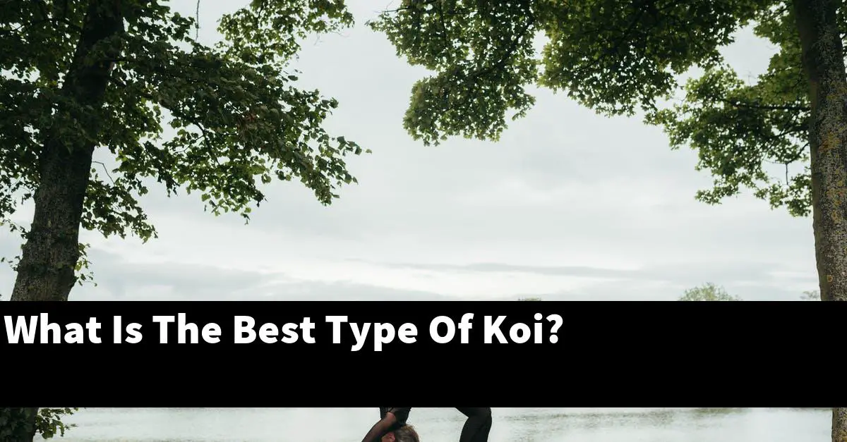 What Is The Best Type Of Koi?