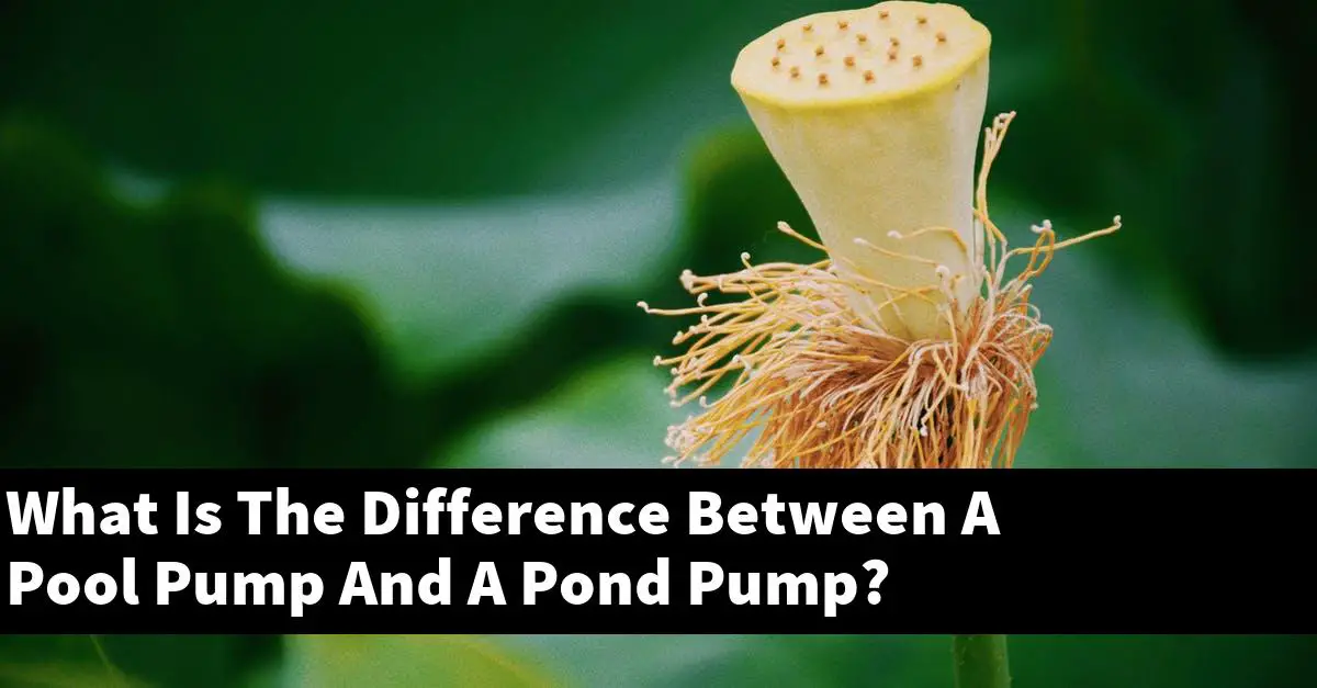 What Is The Difference Between A Pool Pump And A Pond Pump?