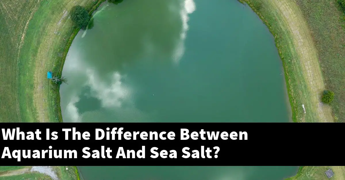 What Is The Difference Between Aquarium Salt And Sea Salt?