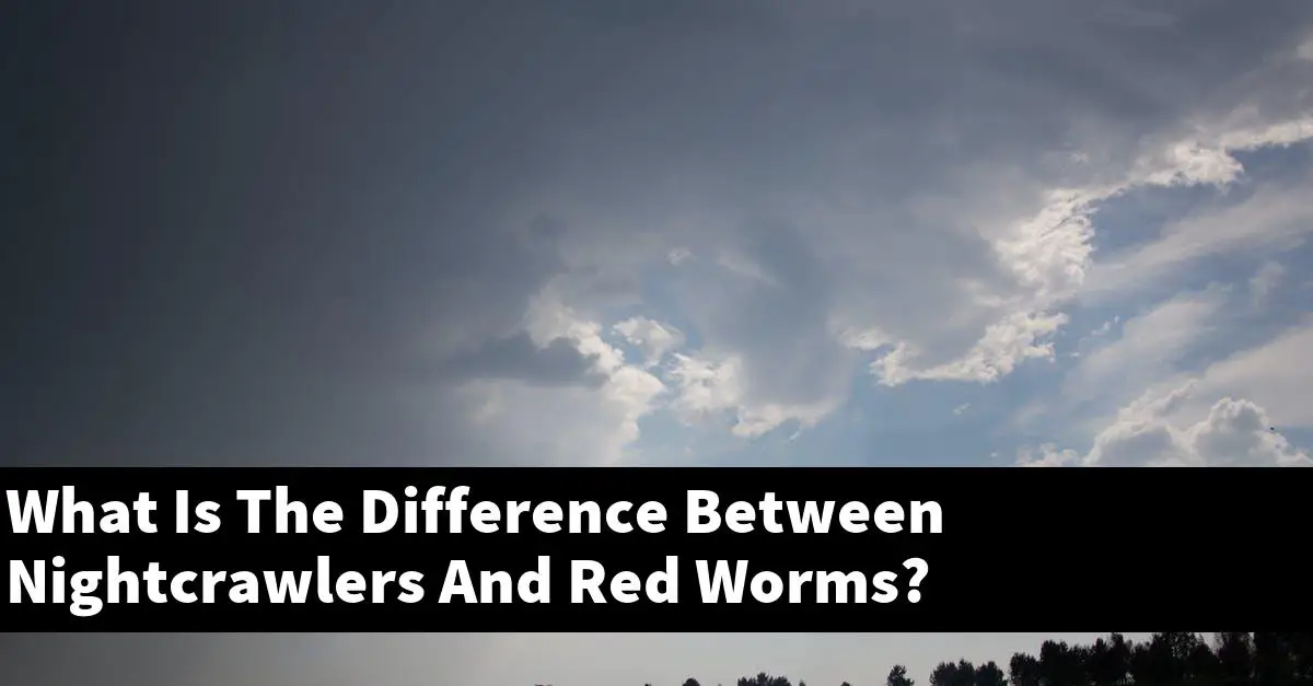 What Is The Difference Between Nightcrawlers And Red Worms?