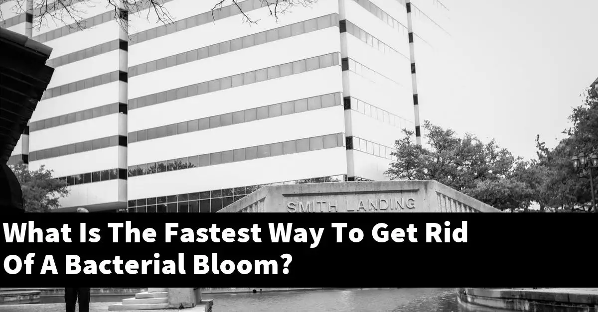 What Is The Fastest Way To Get Rid Of A Bacterial Bloom?