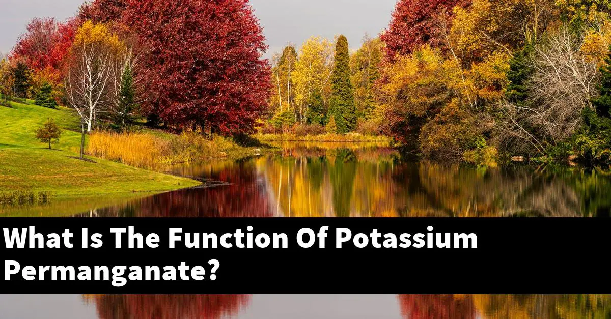 What Is The Function Of Potassium Permanganate?