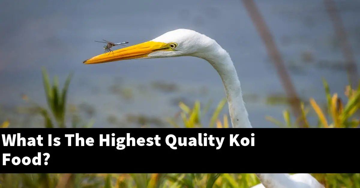 What Is The Highest Quality Koi Food?