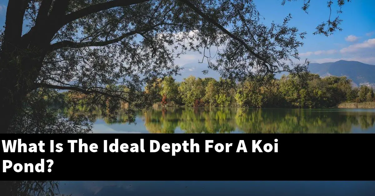 What Is The Ideal Depth For A Koi Pond?