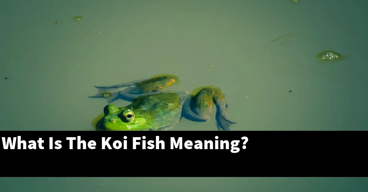 What Is The Koi Fish Meaning?