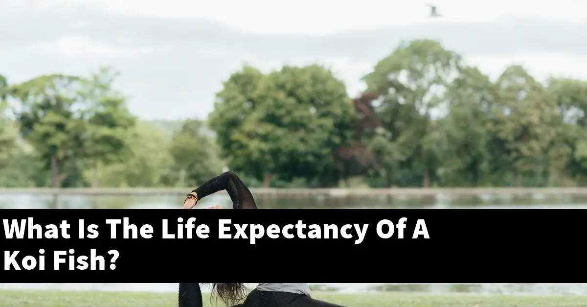 What Is The Life Expectancy Of A Koi Fish?